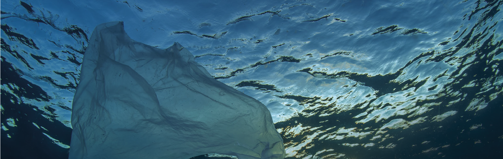 Project plastic: working together to clean up our seas